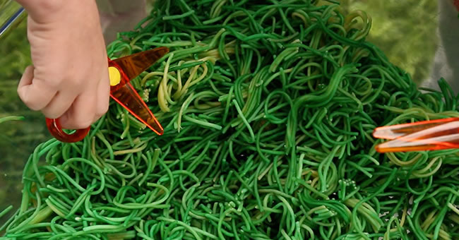 Cutting the Lawn Activity | Kaplan Early <strong>Learning</strong> Company