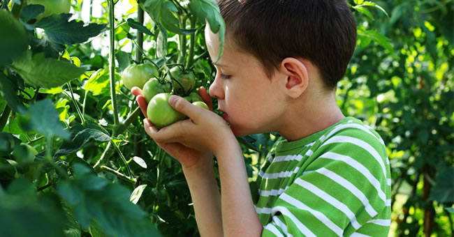 Using Gardening to Promote STEM | Kaplan Early Learning Company