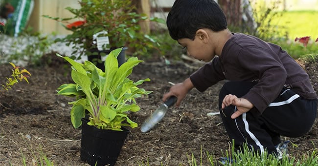 Incorporating Gardening in Lesson Plans | Kaplan Early Learning&hellip;