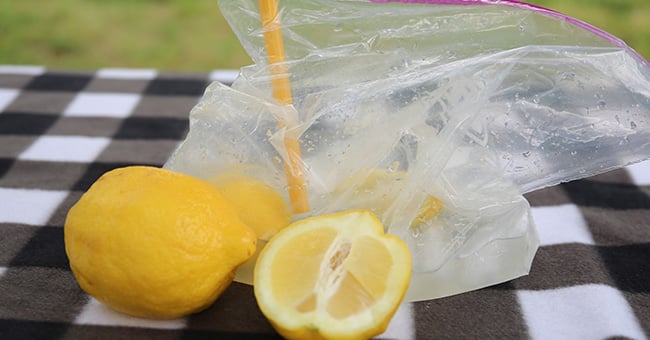 Lemonade in a Bag | Kaplan Early <strong>Learning</strong> Company