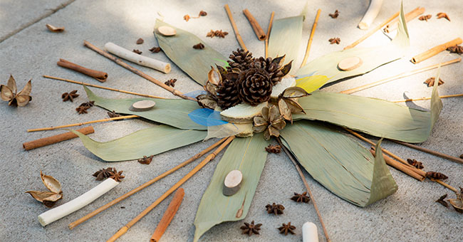 Nurture in Nature: Supporting School Readiness Through Outdoor&hellip;