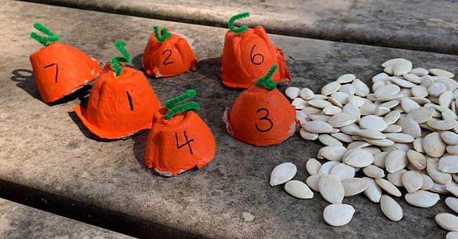 Pumpkin Seeds Math Activity | Kaplan Early Learning Company