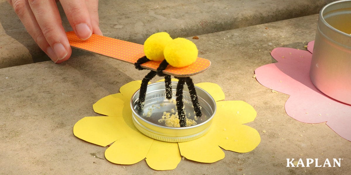 Bee Pollination STEAM Activity | Kaplan Early Learning Company