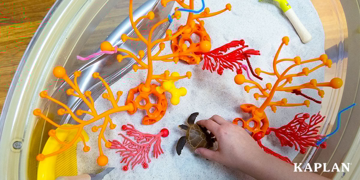 Ocean-Themed Math and Literacy Activities For Preschool Lesson&hellip;